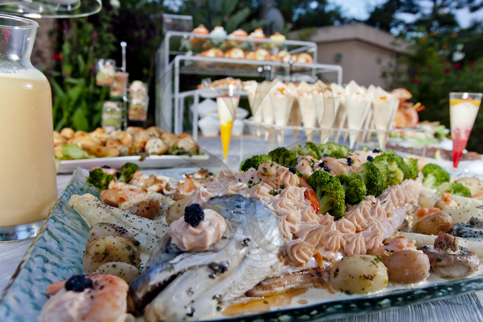 Grand saumon du Norvège 4 kg à la crème ciboulette (10 peronnes)